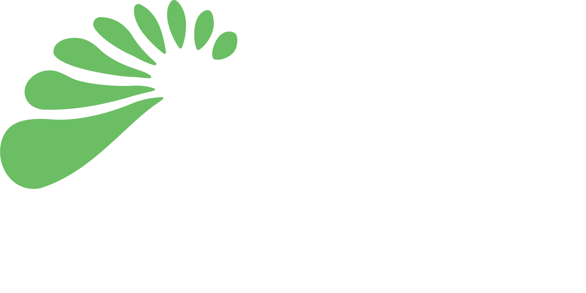 Flourish Agenda logo with stylized green leaf shapes on the left and the words "Flourish Agenda" in large white letters on a light background.